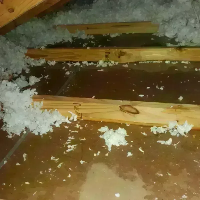 Attic Water Damage in Doolittle, TX